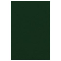 Filc ukrasni A4 pk10 Knorr Prandell 21-8436460 tamnozeleni