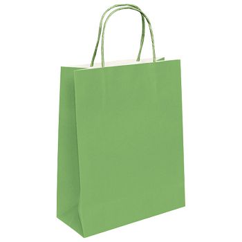 Vrećice ukrasne natron 22x31x10 cm pletena ručka pk50 Duga svijetlozelene