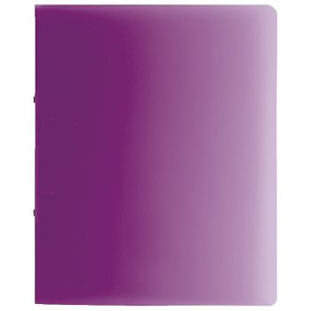 Mapa uložna 2ringa-fi16 mm A4 pp Fact Brunnen 10-65516 98 sort