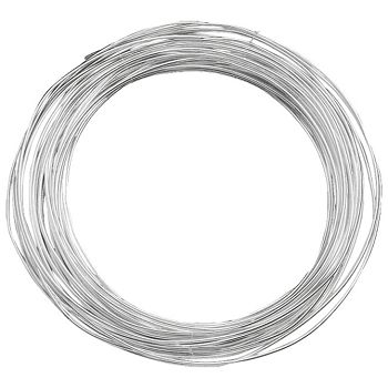 Žica ukrasna posrebrena fi-1,0 mmx4m Knorr Prandell 21-6461107 blister