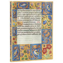 Notes  9,5x14cm-mini crte 104L s gumicom Ancient Illumination Flexis Paperblanks FB9395-4