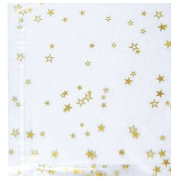 Vrećice ukrasne celofan 11,5x19 cm sa zvjezdicama pk10 Heyda 20-30892 51 prozirne