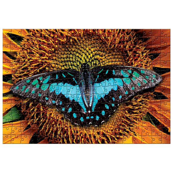 Puzzle 250 kom Colorful nature 2 Butterfly Interdruk