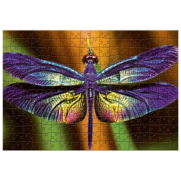 Puzzle 250 kom Colorful nature 3 Dragonfly Interdruk