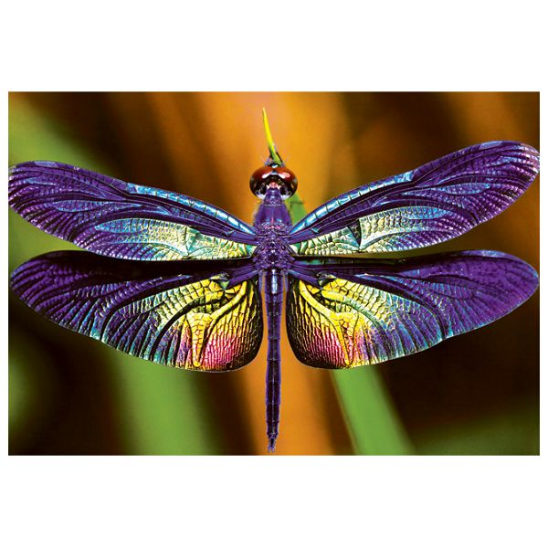 Puzzle 250 kom Colorful nature 3 Dragonfly Interdruk