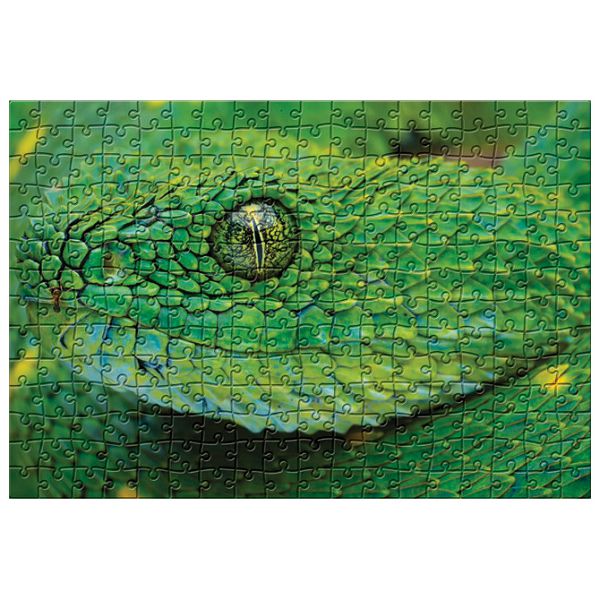 Puzzle 250 kom Colorful nature 4 Snake Interdruk