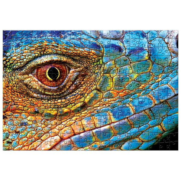 Puzzle 250 kom Colorful nature 5 Lizard Interdruk