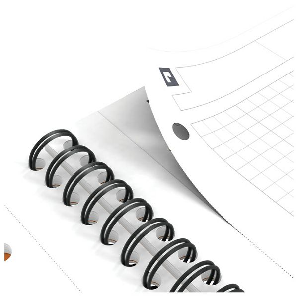Blok kolegij A4 karo 80L perforacija+4rupe International notebook Oxford 100103664