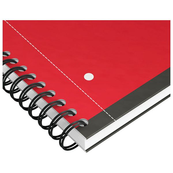 Blok kolegij A4 karo 80L perforacija+4rupe International notebook Oxford 100103664