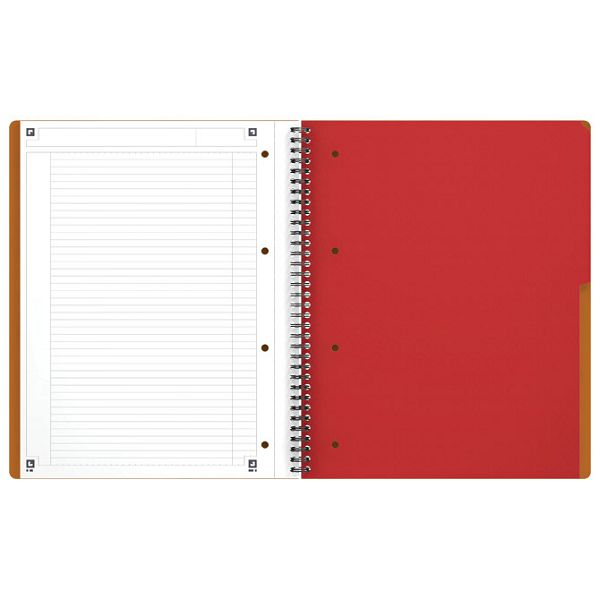 Blok kolegij A4 crte 80L perforacija+4rupe Activebook Oxford 100102994